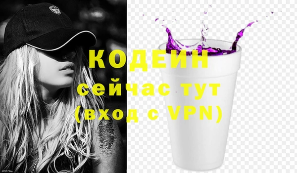 стаф Новокубанск