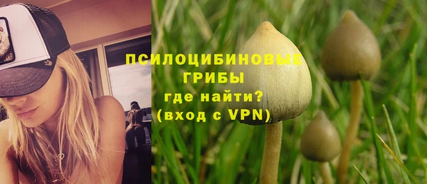 стаф Алексеевка