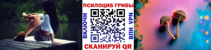 Галлюциногенные грибы Psilocybine cubensis Алушта