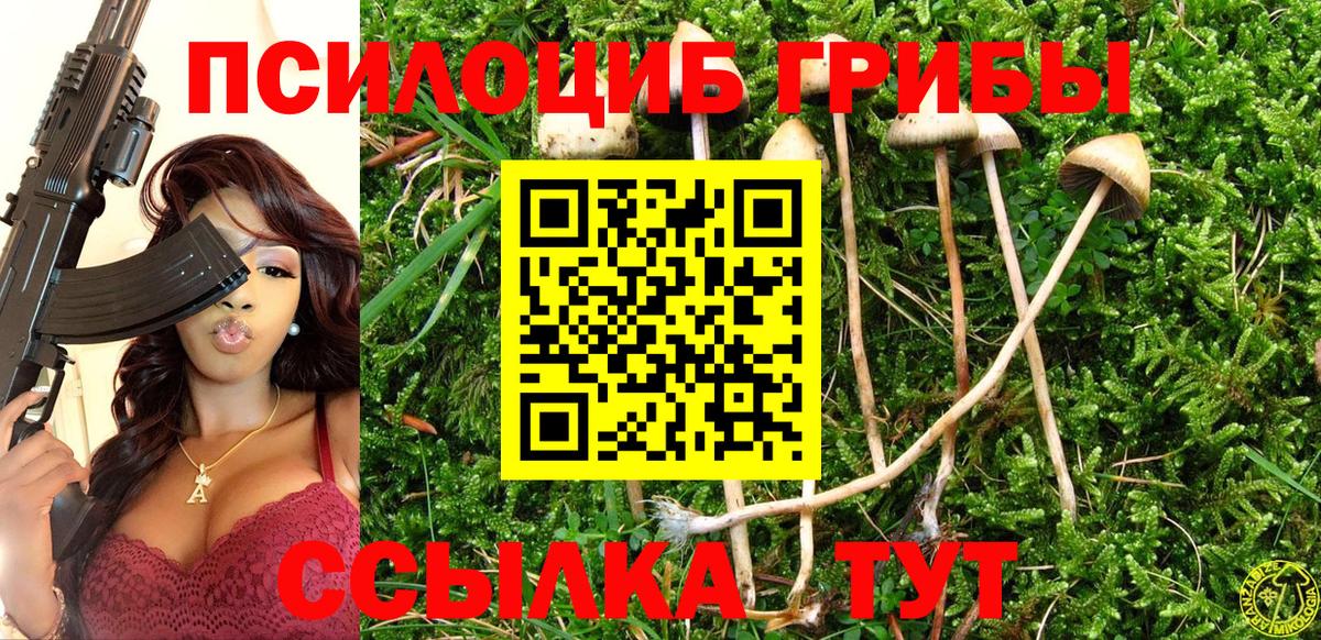 Псилоцибиновые грибы Psilocybine cubensis Алушта