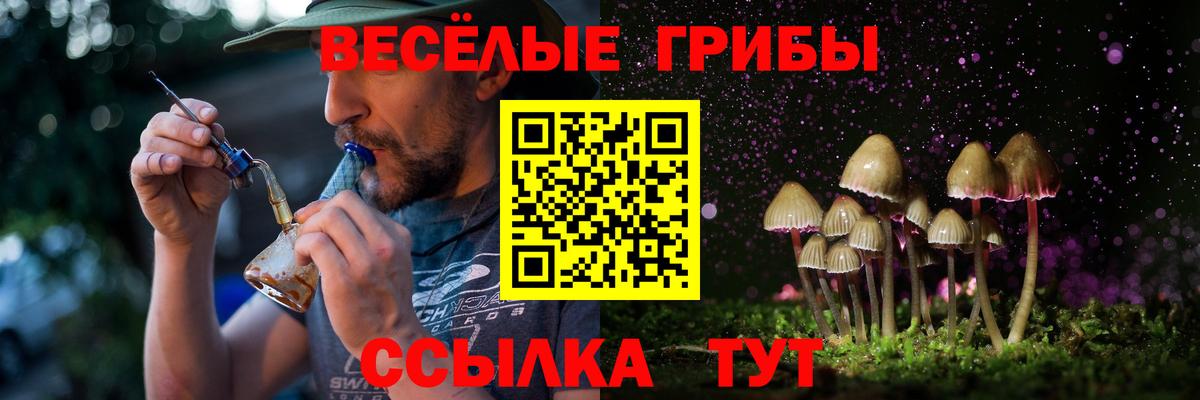 Алушта  Галлюциногенные грибы ЛСД  как найти наркотики  Вход с VPN  Галлюциногенные грибы Psilocybe 